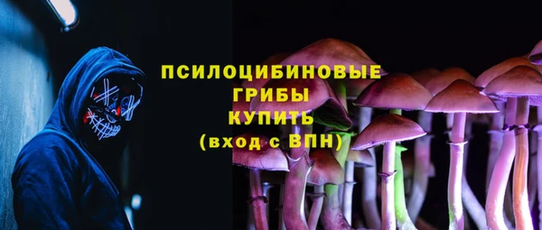 кокаин Богданович