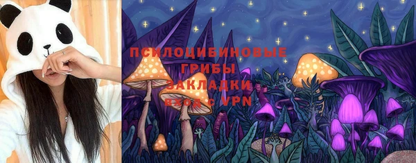 кокаин Богданович